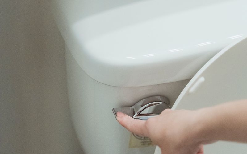 Hand pressing a toilet flush handle